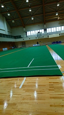 �΂̐l�H�ŁA���Ȃ�̏d�ʊ��E�^�C��ԂɂЂ��Ă���