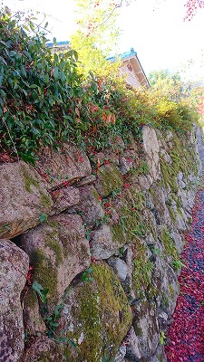 �̂Â�Â݂̐Ί_�������Q��