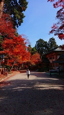 �g�t�ɋ��܂ꂽ�L���Q��