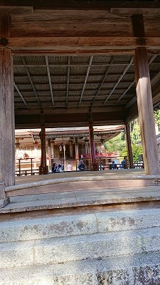 �\������g�E�V�Č����铌�{�{