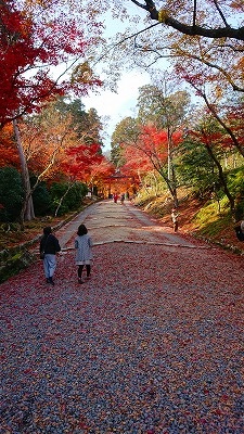 �����̏�ɁA�O�p�̌`���������̂�����Ă���